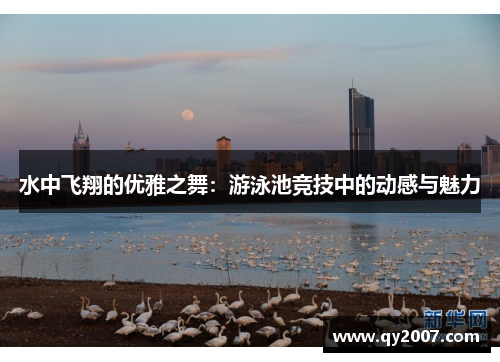 水中飞翔的优雅之舞：游泳池竞技中的动感与魅力
